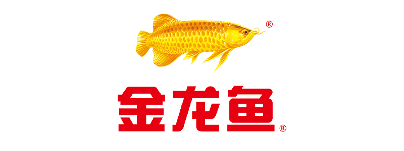 DM_20260212205837_031